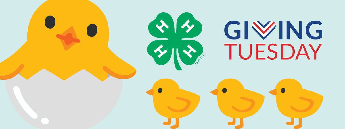 Don't Let Giving Tuesday Gallop Away! 🐴⏰