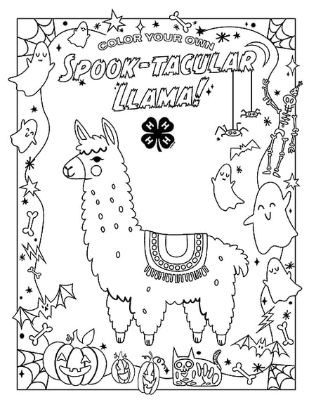 Color Your Own Spook‑tacular Llama!