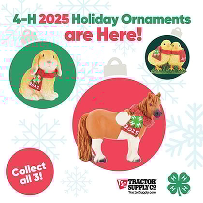 Add 4‑H to Your Holiday Tree