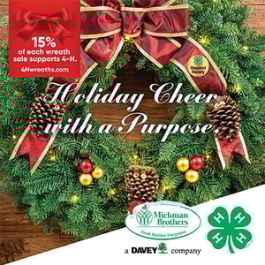 🌿 Mickman Brothers