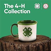 🖌️ My Pottery Place