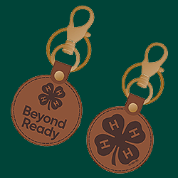 limited‑edition keychain