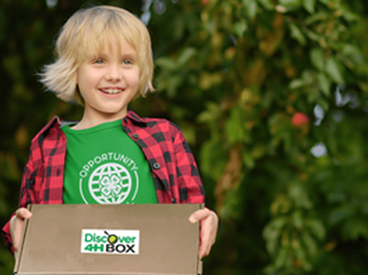 Summer 2024 Financial Literacy 4-H Discover Box