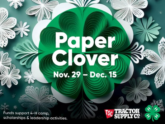 Get Your Paper Clover Today!