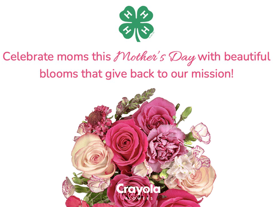 Celebrate Mom with Blooms of Love This Mother's Day