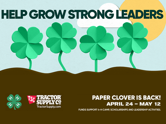 Deadline Extended to Get Your TSC Spring Paper Clover